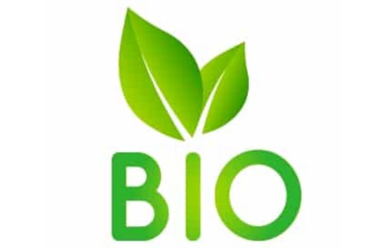 עמוד שירות בתים ניקיון ירוק