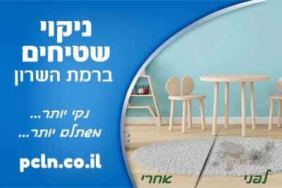 ניקוי שטיחים ברמת השרון