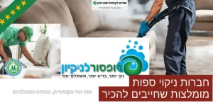 ניקוי ספות המלצות